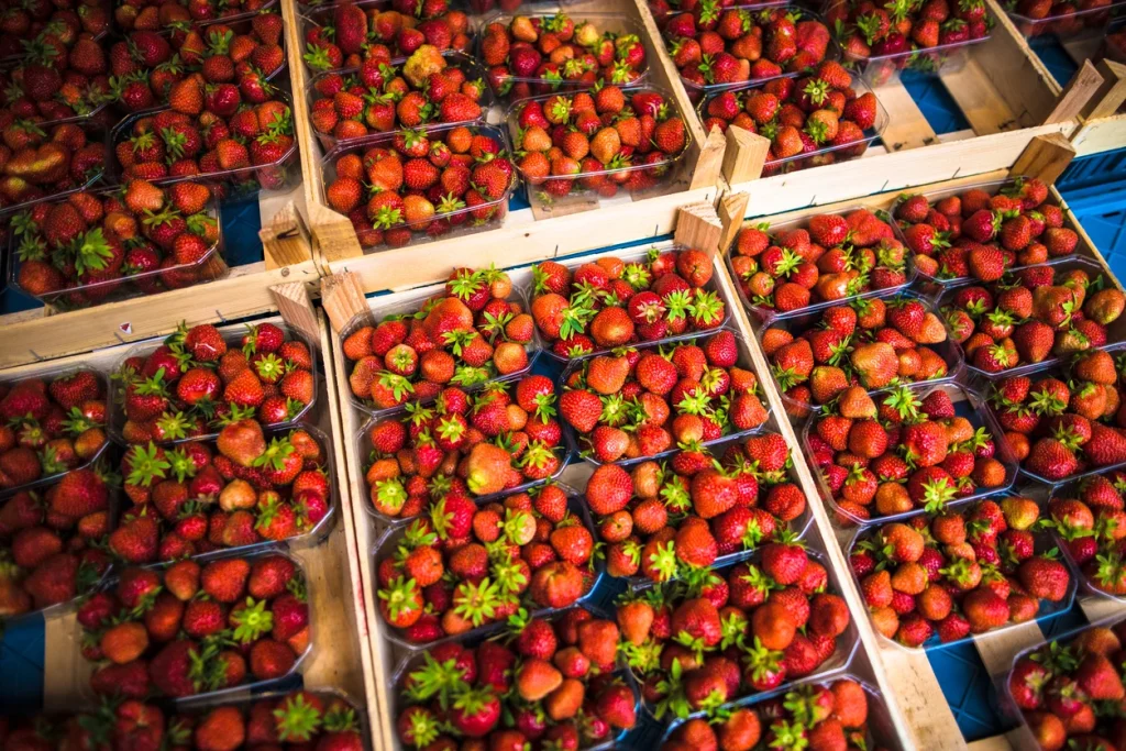 Tailored chiller hire preserves fruit for UK’s largest farming and dairy company