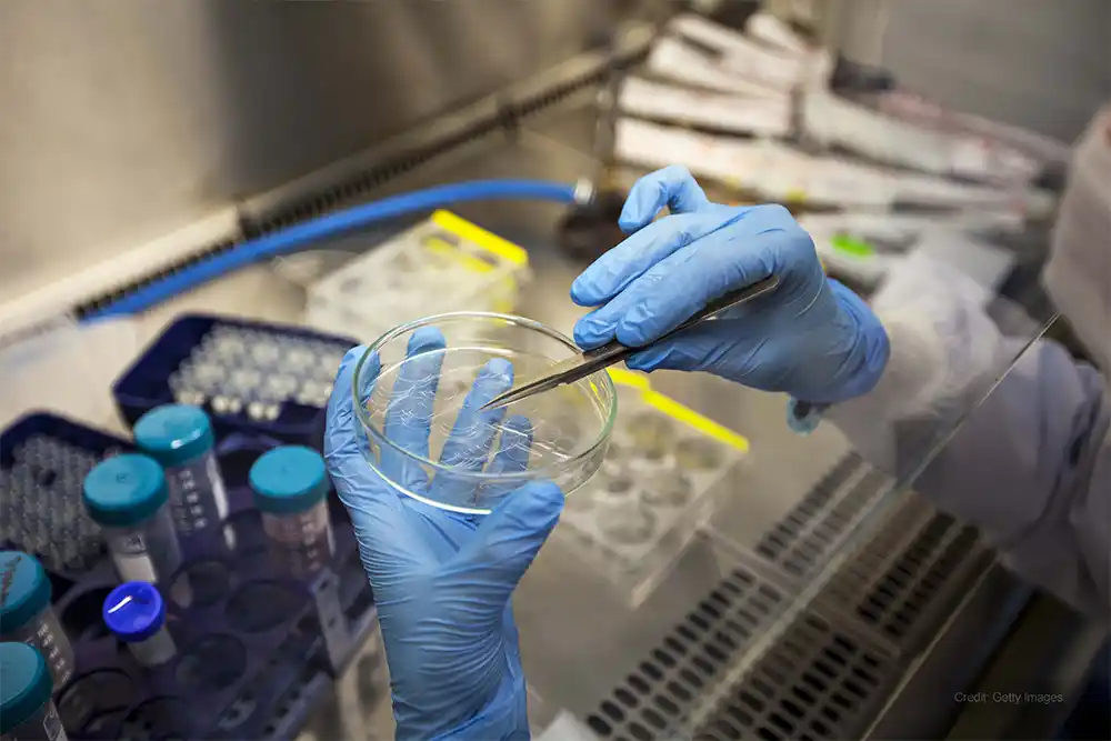 NHS stem cell laboratory requires temporary heating