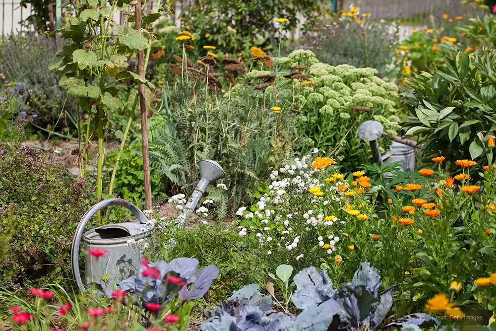 Andrews Dehumidification rectify storage conditions