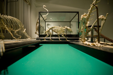 Dehumidification Solution for Art Galleries & Museums ​- Creating Desired Conditions